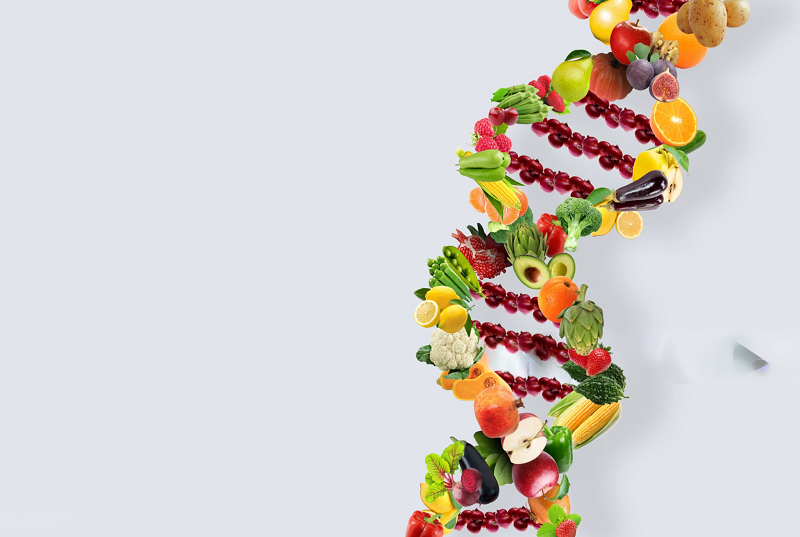 Precision Laboratory Instruments in Food Research Precision Laboratory Instruments in Food Research