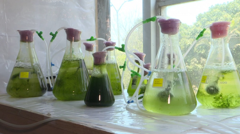 General Lab Equipment in Industry & Environmental Protection General Lab Equipment in Industry & Environmental Protection