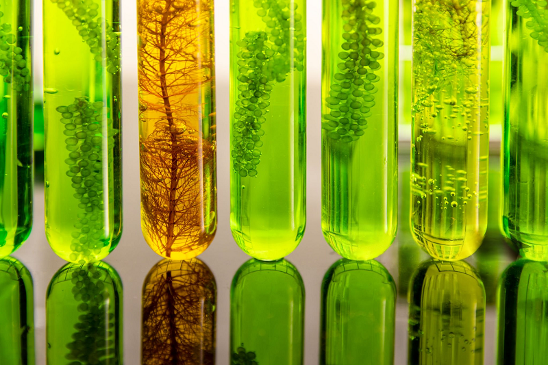 General Lab Equipment in Industry & Environmental Protection General Lab Equipment in Industry & Environmental Protection