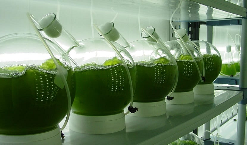 General Lab Equipment in Industry & Environmental Protection General Lab Equipment in Industry & Environmental Protection