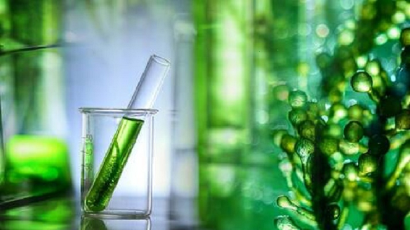 General Lab Equipment in Industry & Environmental Protection General Lab Equipment in Industry & Environmental Protection